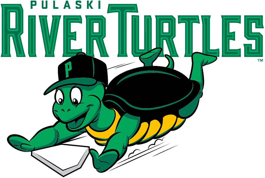 Pulaski River Turtles 2021-Pres Primary Logo iron on heat transfer